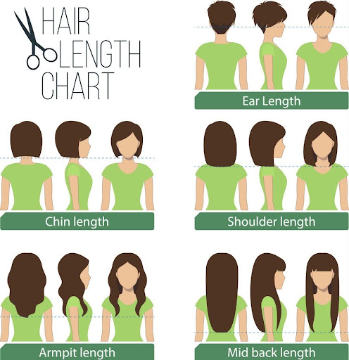 Hair length chart for different hairstyles